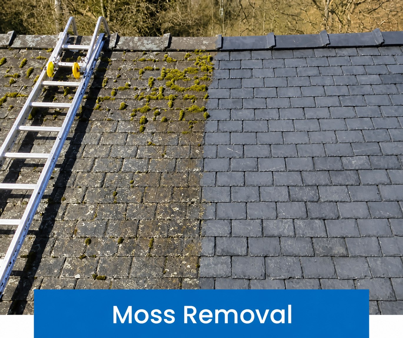 Moss removal roof cleaning