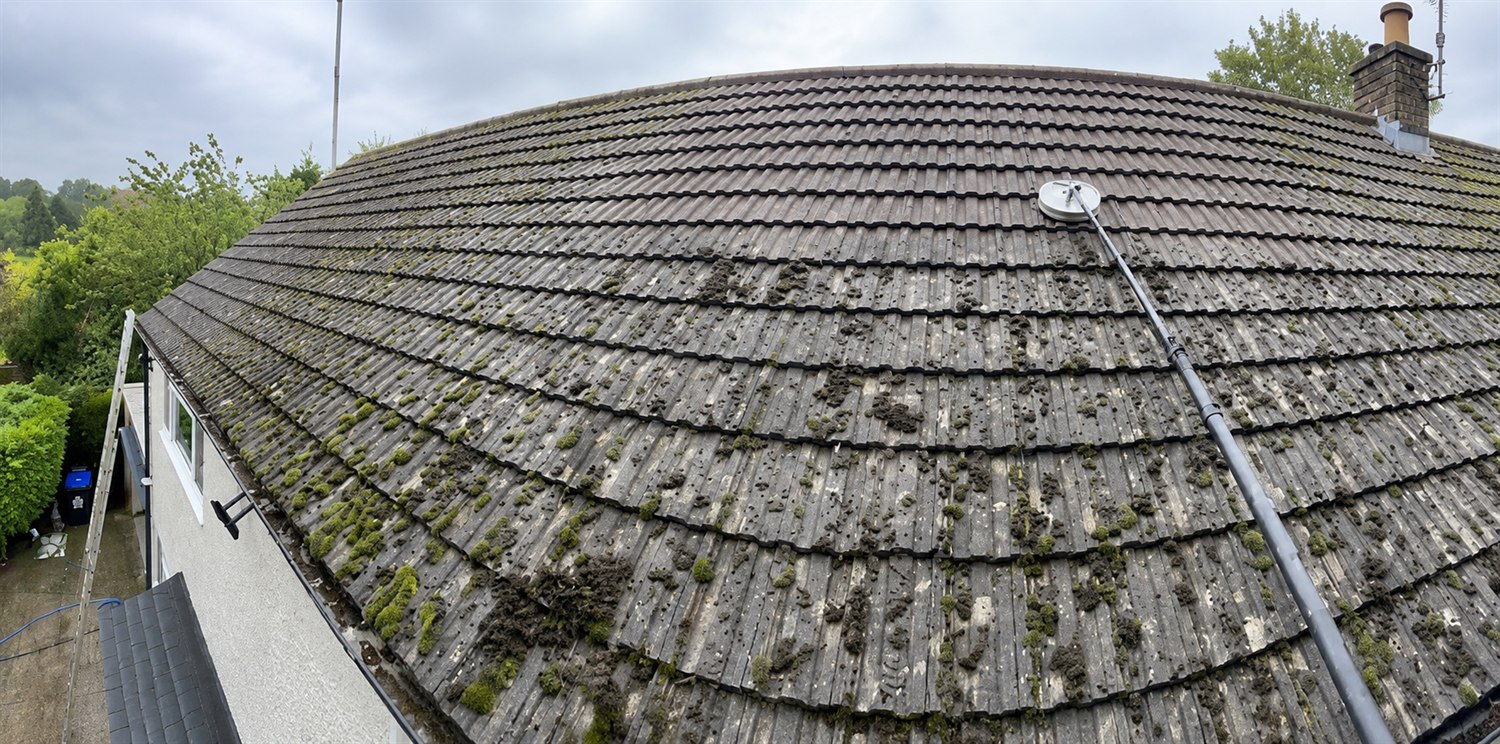 Roof cleaning and moss removal